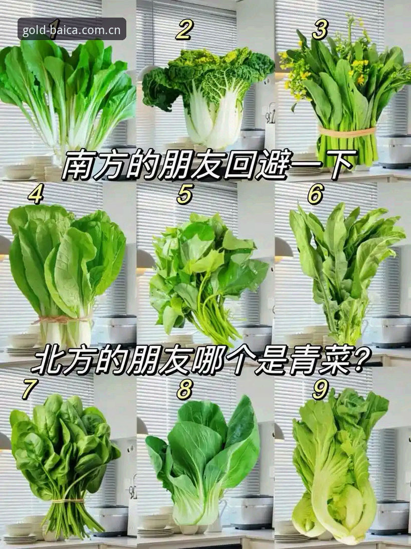 冠军白菜网论坛账号注册安装教程 3大核心步骤:冠军白菜网论坛账号注册安装全攻略